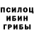 Галлюциногенные грибы Psilocybine cubensis serega wanderer
