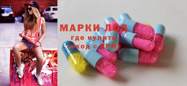 шишки Надым
