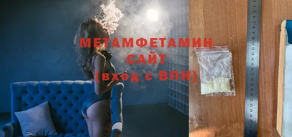 шишки Надым