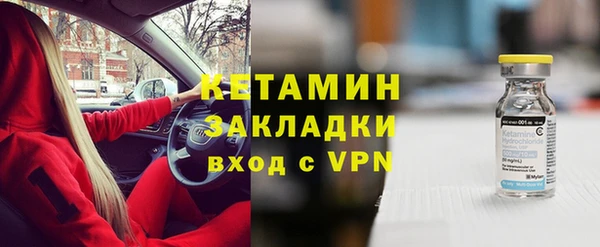 шишки Надым