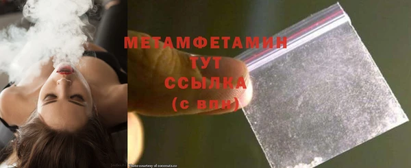 шишки Надым