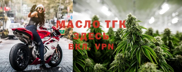 шишки Надым