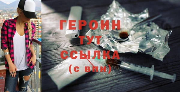шишки Надым