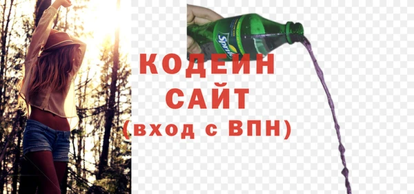 шишки Надым