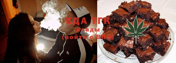 шишки Надым
