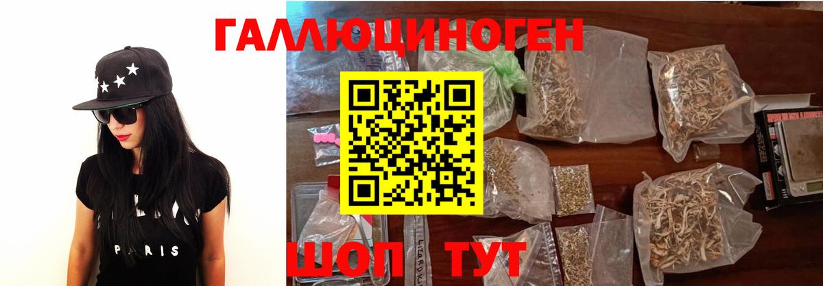 Псилоцибиновые грибы MAGIC MUSHROOMS  Вход с VPN  Новозыбков 