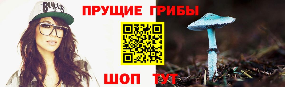 Псилоцибиновые грибы MAGIC MUSHROOMS Новозыбков