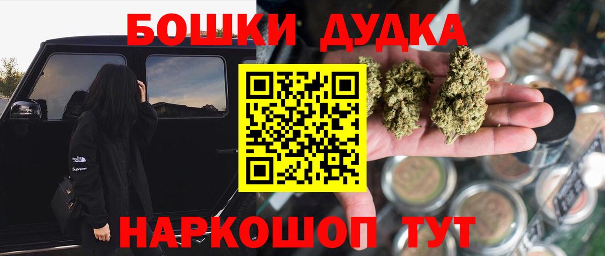 Каннабис план  Конопля SATIVA & INDICA  Новозыбков  Бошки марихуана гибрид  Вход с VPN  Марихуана индика 